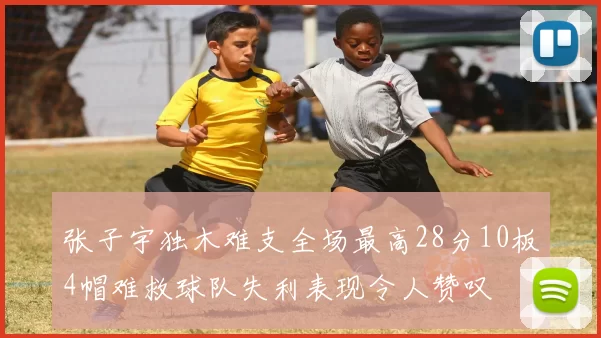 张子宇独木难支全场最高28分10板4帽难救球队失利表现令人赞叹